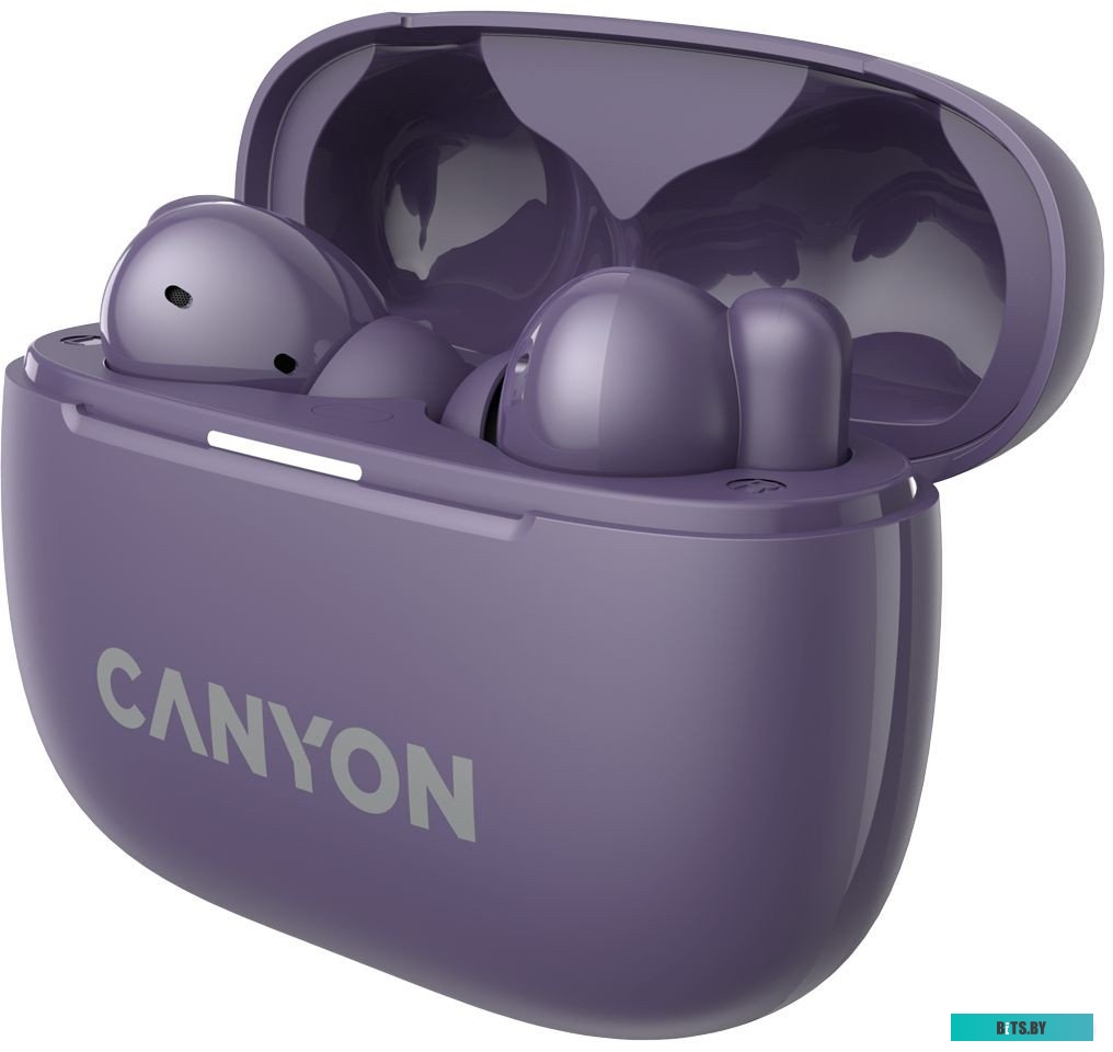 Наушники Canyon OnGo TWS-10 ANC CNS-TWS10PL