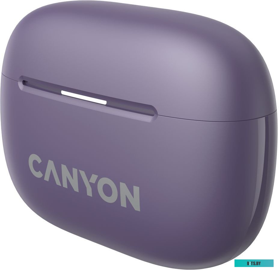 Наушники Canyon OnGo TWS-10 ANC CNS-TWS10PL