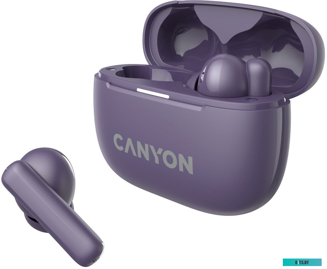 Наушники Canyon OnGo TWS-10 ANC CNS-TWS10PL