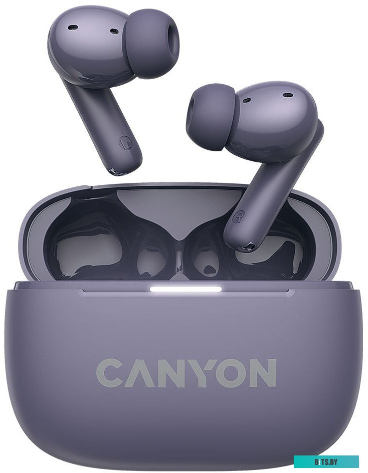 Наушники Canyon OnGo TWS-10 ANC CNS-TWS10PL