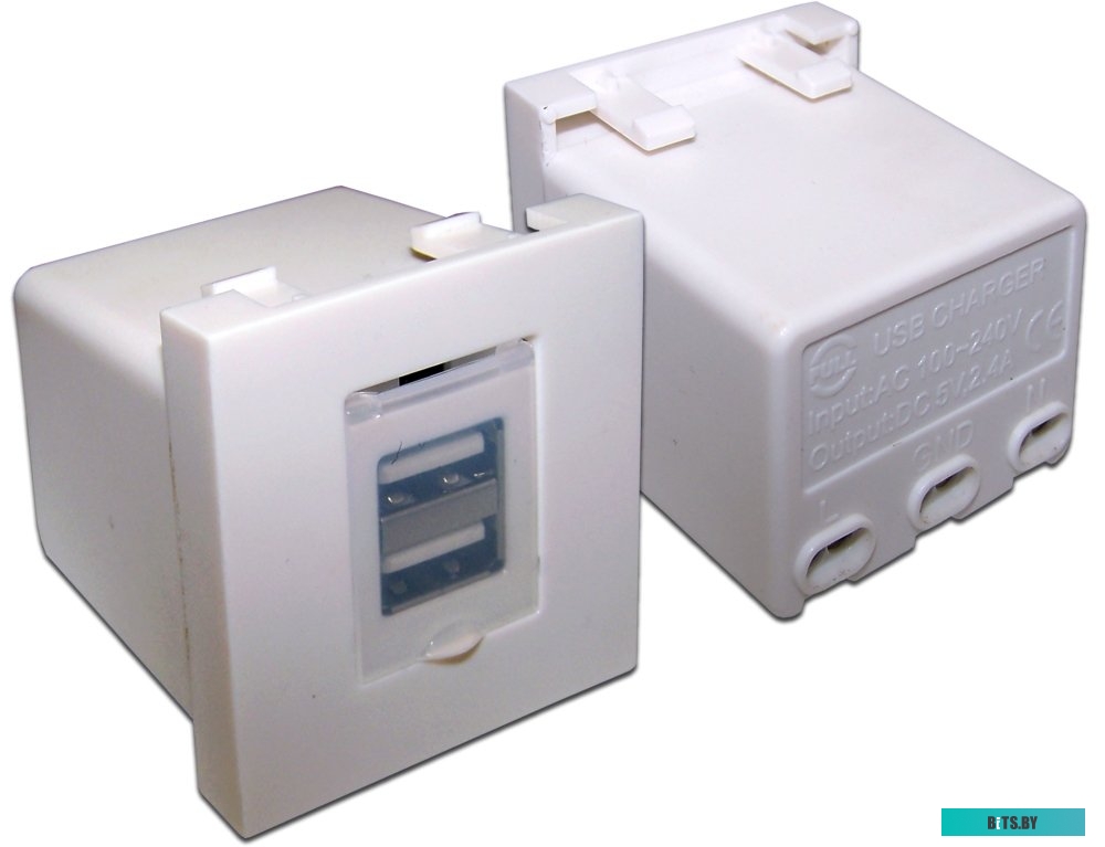 Розетка USB Lanmaster LAN-EZ45x45-2xUSB-WH