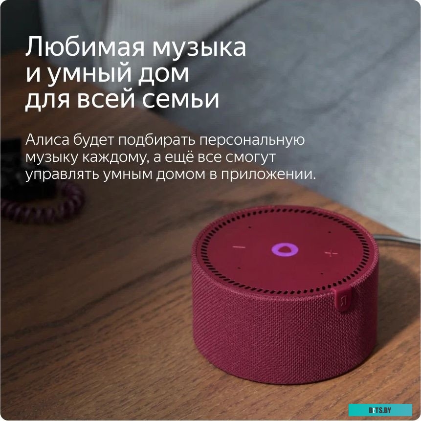 Умная колонка Яндекс Станция Мини 2 без часов (красный гранат) <YNDX-00021R>