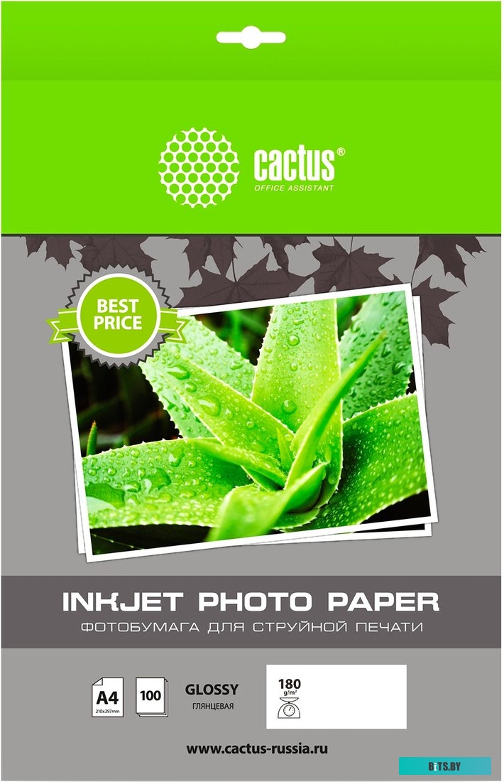 Фотобумага Cactus CS-GA4180100ED CS-GA4180100ED.