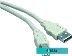 Кабель Cablexpert CC-USB2-AMBM-10