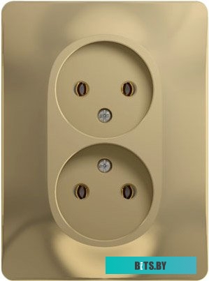Розетка Schneider Electric Glossa GSL000420 (титан)