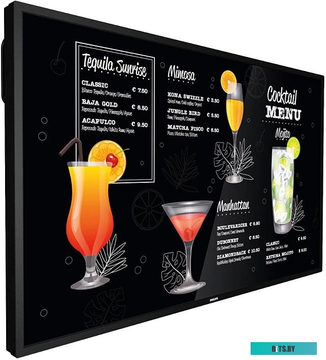 Монитор Philips 65BDL3117P/00