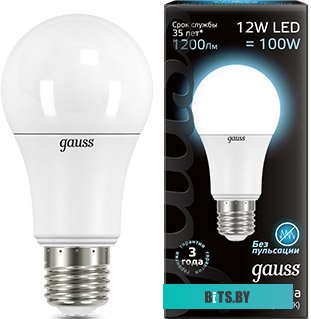 102502222 Упаковка ламп LED GAUSS E27,  шар, 22Вт, 10 шт. [102502222]