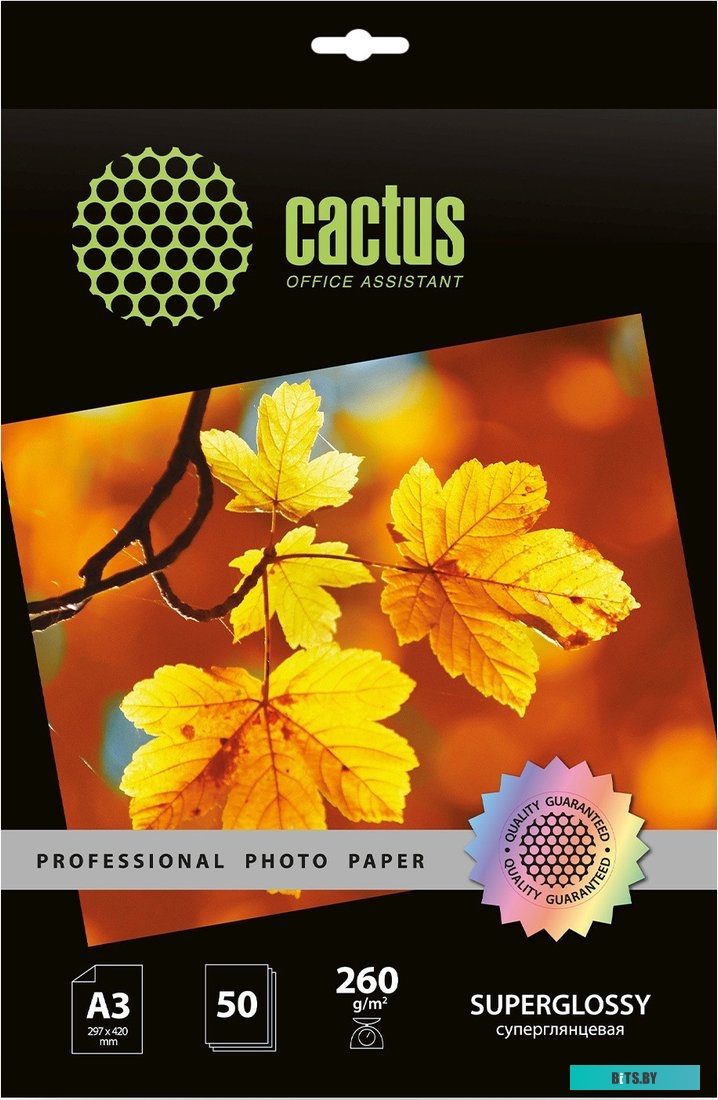 Фотобумага Cactus Prof CS-HGA326050 A3/260г/м2/50л./белый глянцевое для струйной печати