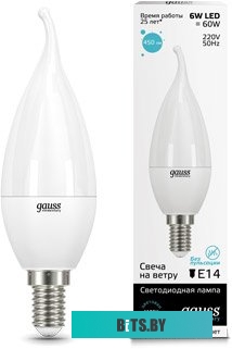 34126 Упаковка ламп LED GAUSS E14,  свеча, 6Вт, 10 шт. [34126]