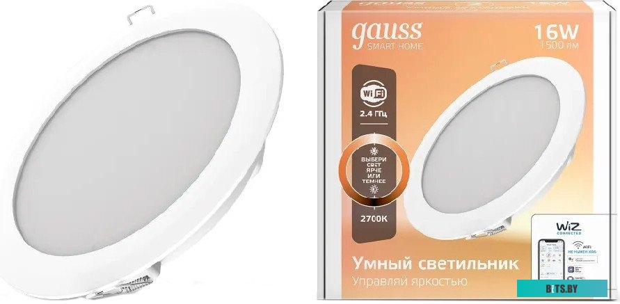 2020122 Умный светильник IoT GAUSS Smart Home потолочный [2020122]