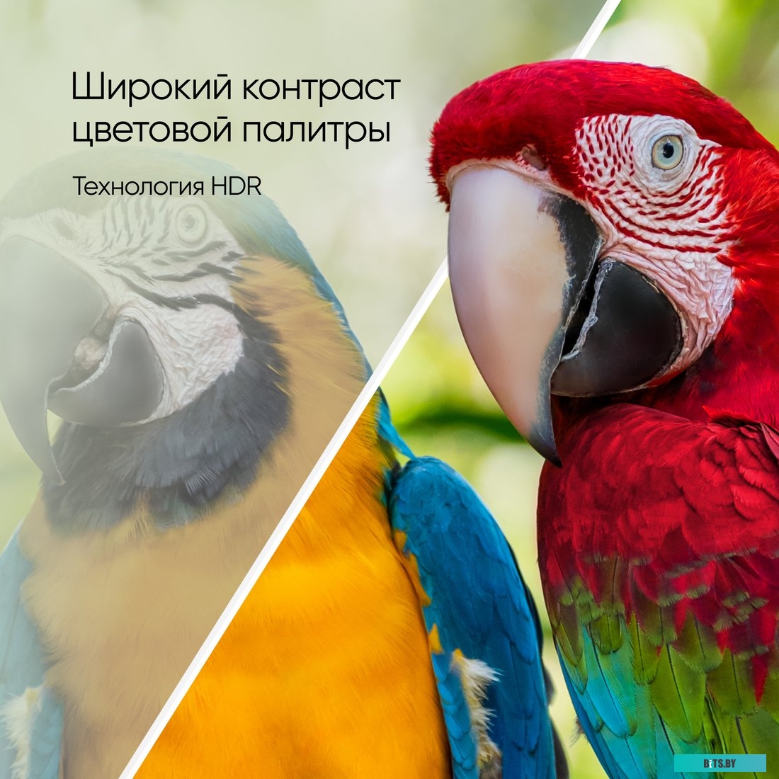 Телевизор Topdevice TDTV50CS06U_BK 50''