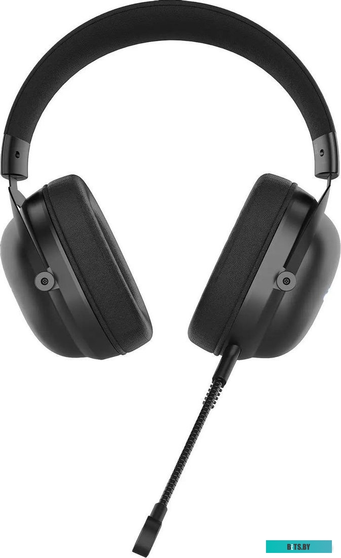 ZL.HDSCC.01U Наушники с микрофоном Acer AHW122 черный 2.1м мониторные USB оголовье (ZL.HDSCC.01U)