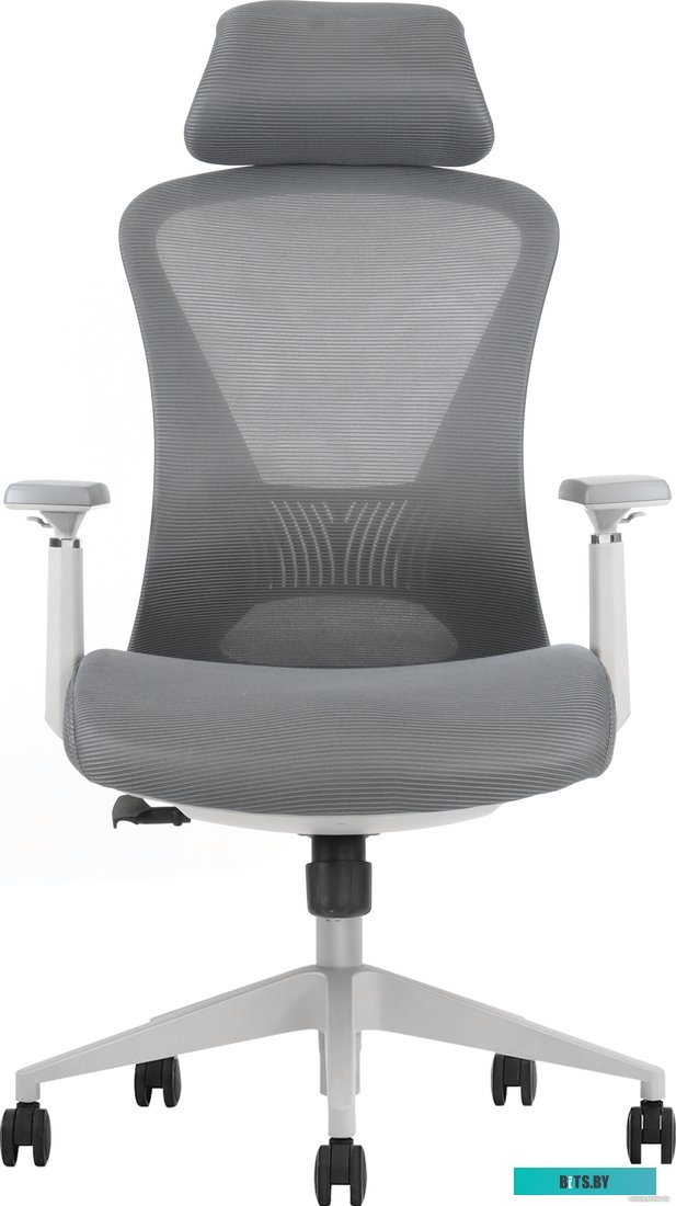 Офисное кресло Evolution Office Comfort (серый)