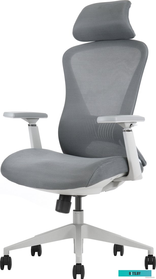 Офисное кресло Evolution Office Comfort (серый)