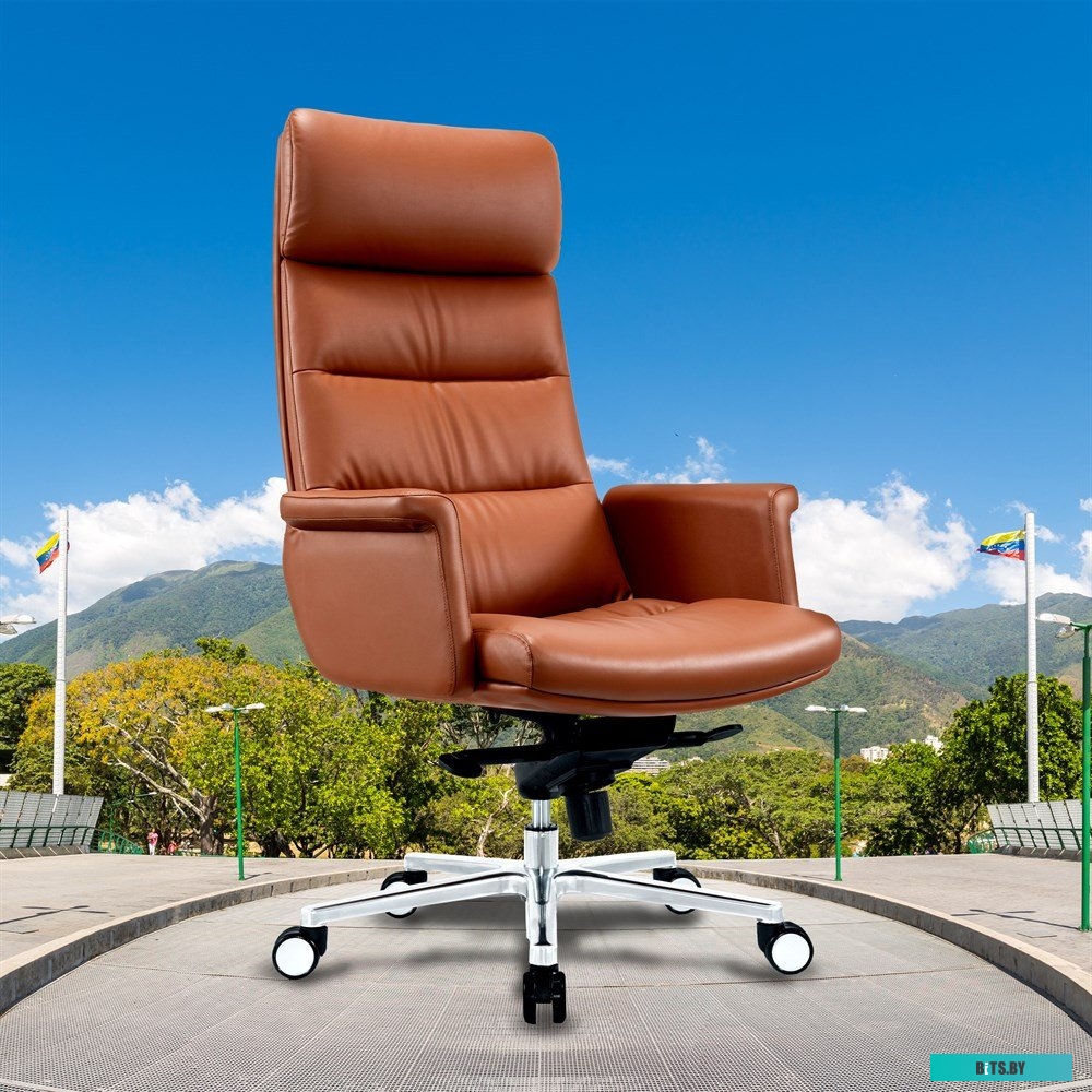 CS-LBR-CARACAS Кресло руководителя Cactus CS-LBR-CARACAS кожа крестов. алюминий