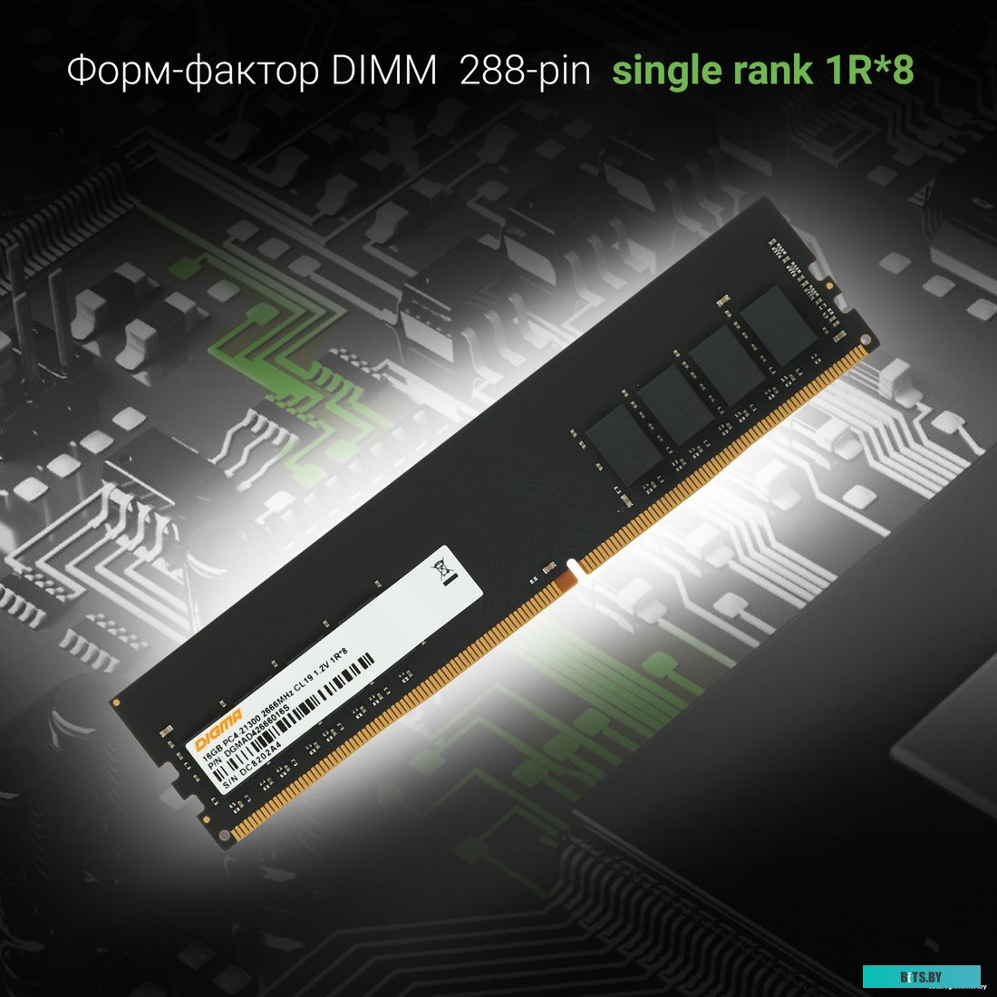 Оперативная память Digma DGMAD42666016S 1784388.