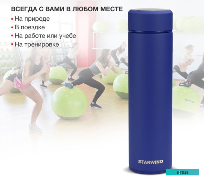 0.45л. Термос Starwind 22-500 0.45л. черный картонная коробка