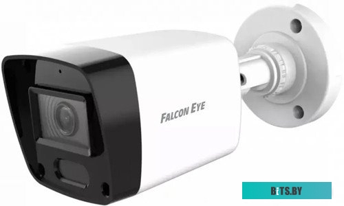 Камера видеонаблюдения Falcon Eye FE-HB2-30A