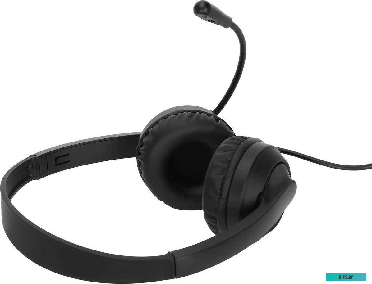 1900379 Наушники с микрофоном Оклик HS-M500 черный 1.8м накладные оголовье (1900379)