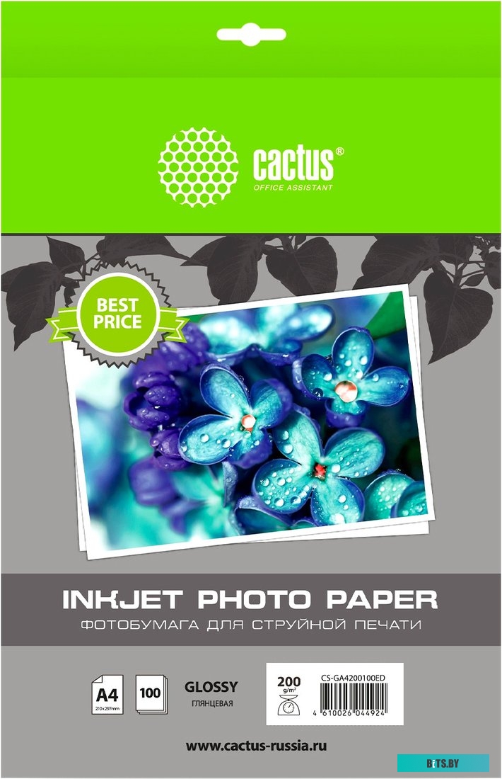 Фотобумага Cactus CS-GA4200100ED CS-GA4200100ED.