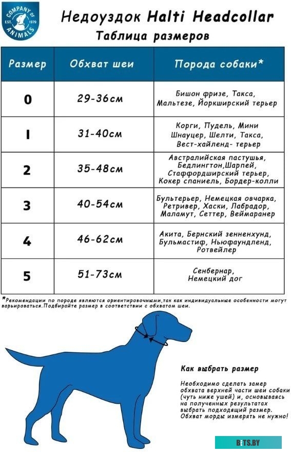 Радиоприемник Сигнал БЗРП РП-337 11520