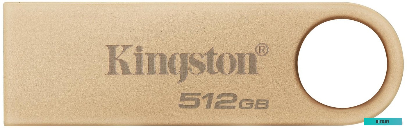 Флеш-драйв Kingston DataTraveler SE9 G3 512GB DTSE9G3/512GB