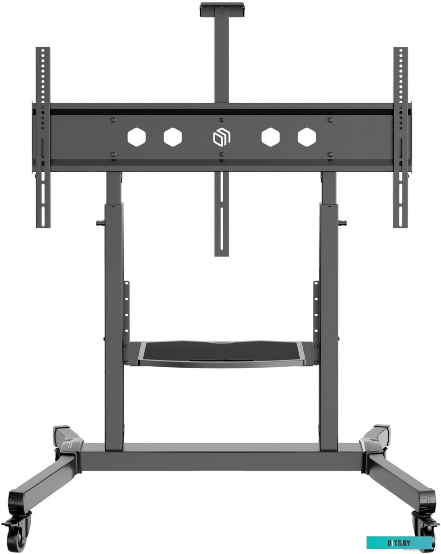 Стойка для телевизора Onkron TS1991E-B черный 50"-100" макс.120кг напольный наклон