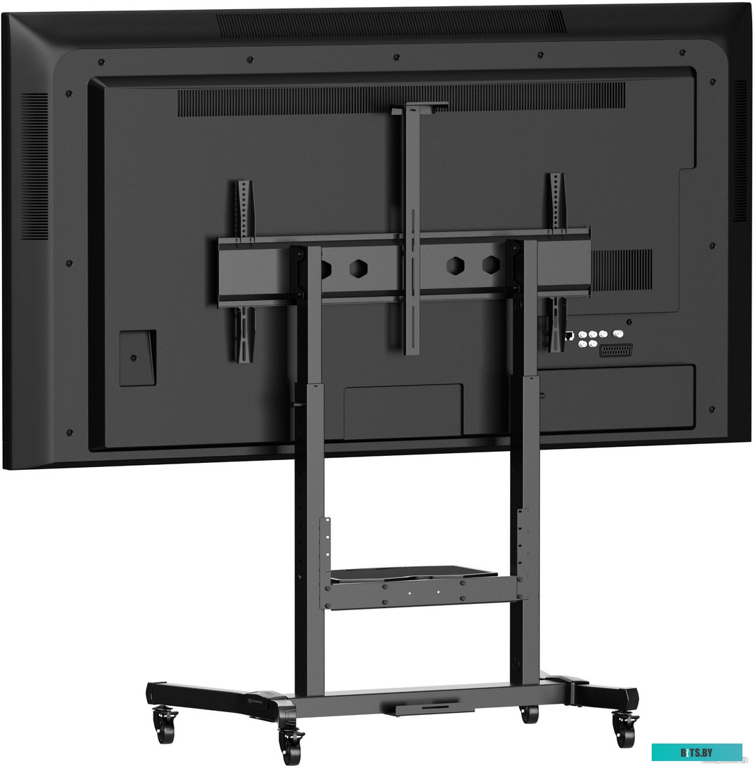 Стойка для телевизора Onkron TS1991E-B черный 50"-100" макс.120кг напольный наклон