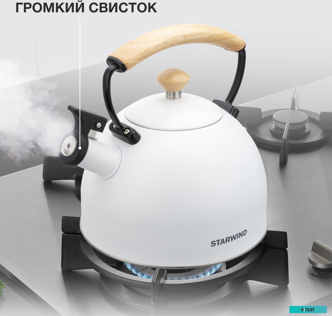 SW-CH1712 Чайник металлический Starwind Chef Country белый