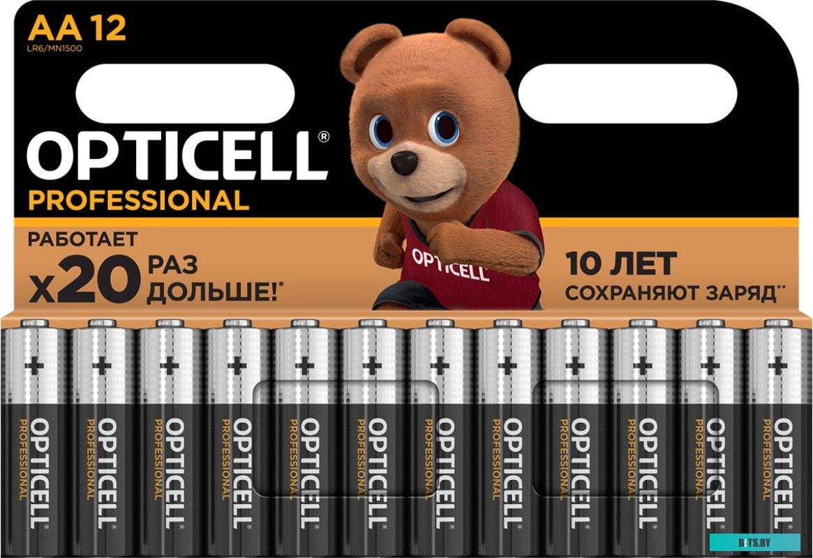 Батарейки Opticell Professional AA 5052005 12шт