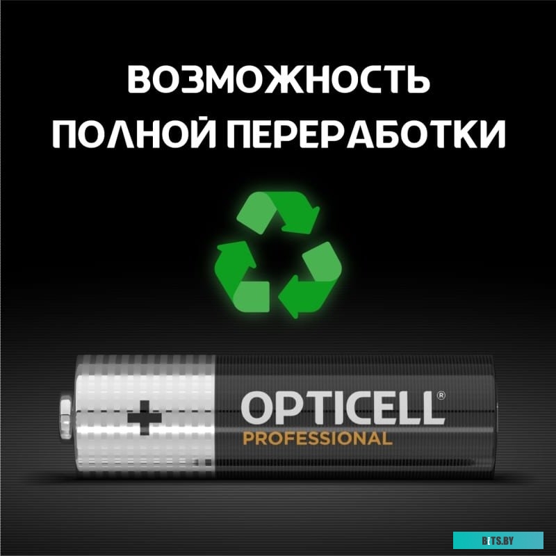 Батарейки Opticell Professional AA 5052005 12шт