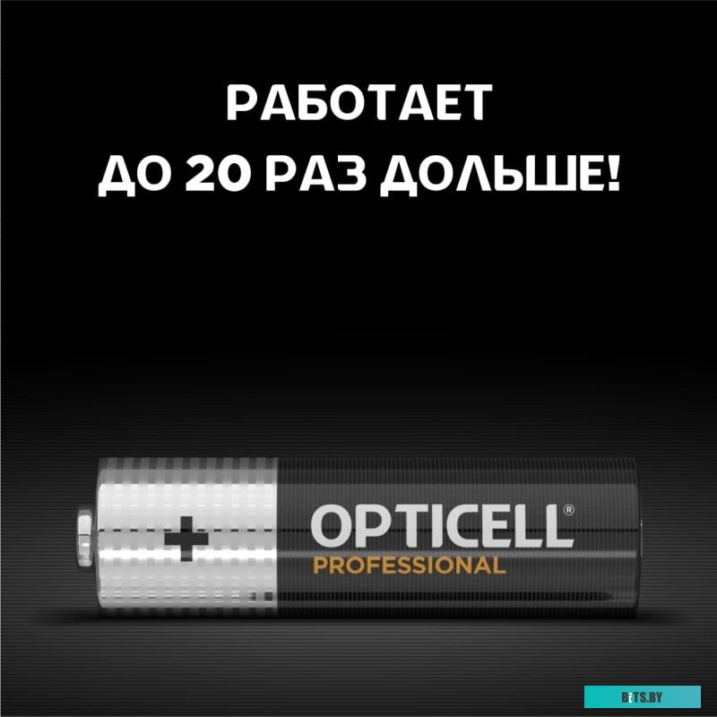 Батарейки Opticell Professional AA 5052005 12шт