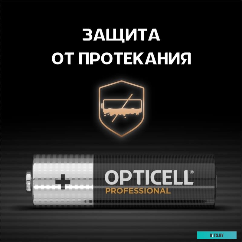 Батарейки Opticell Professional AA 5052005 12шт