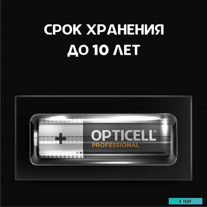 Батарейки Opticell Professional AA 5052005 12шт