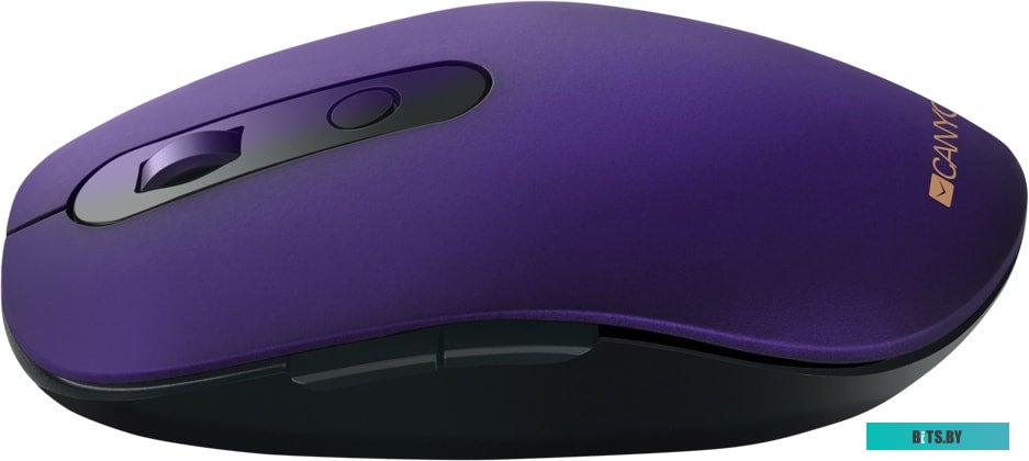 Мышь беспроводная Canyon MW-9, 1500dpi, Bluetooth/Wireless, Фиолетовый (Королевский пурпур) CNS-CMSW09V