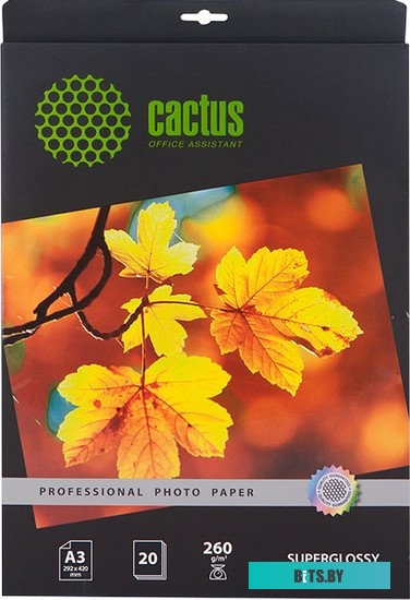 Фотобумага CACTUS Суперглянцевая A3 260 г/кв.м. 20 листов (CS-HGA326020)