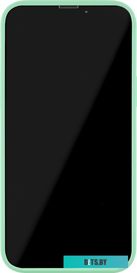 uBear Touch Case для iPhone 13 Pro Max (светло-зеленый)