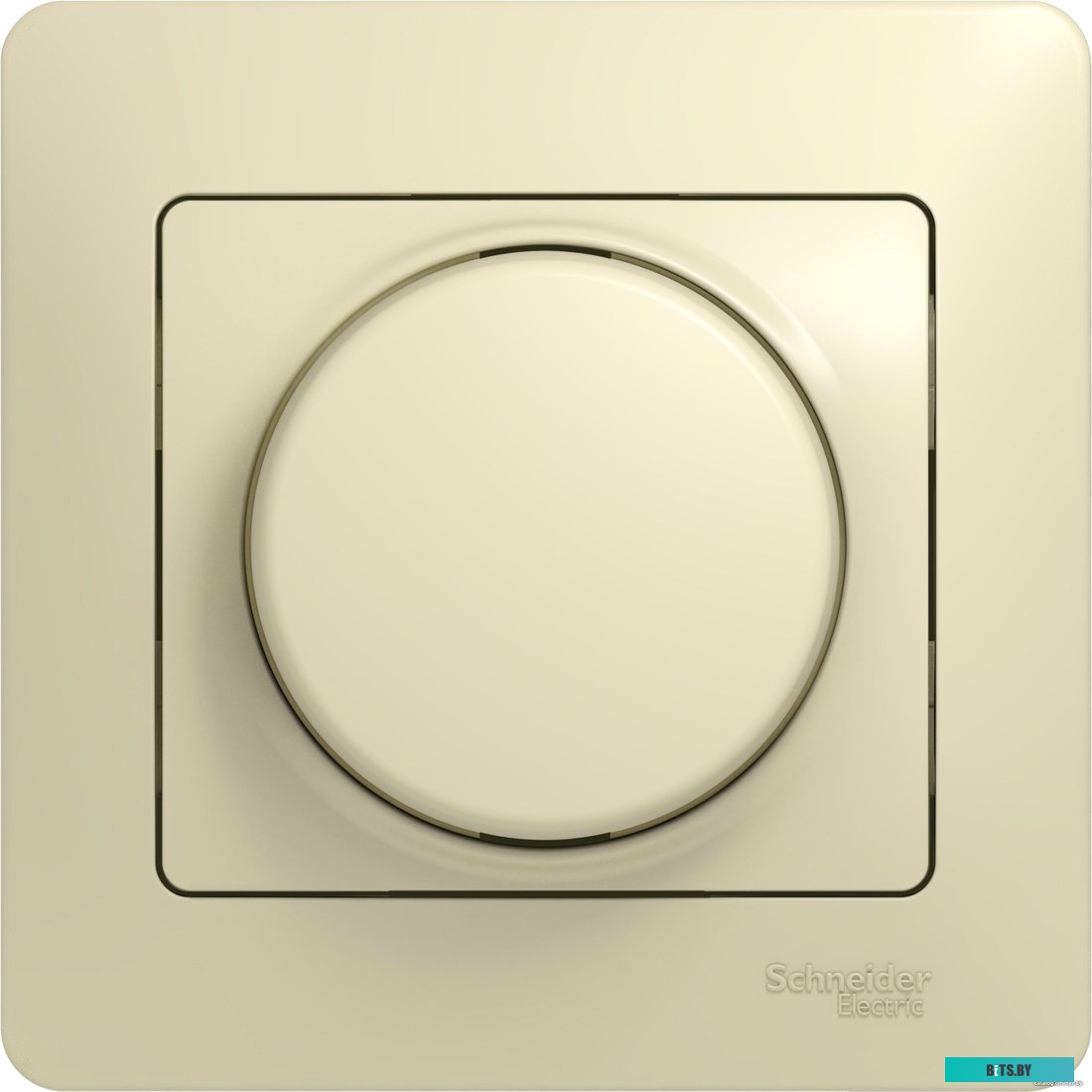 Розетка Schneider Electric Glossa GSL000234 (бежевый)