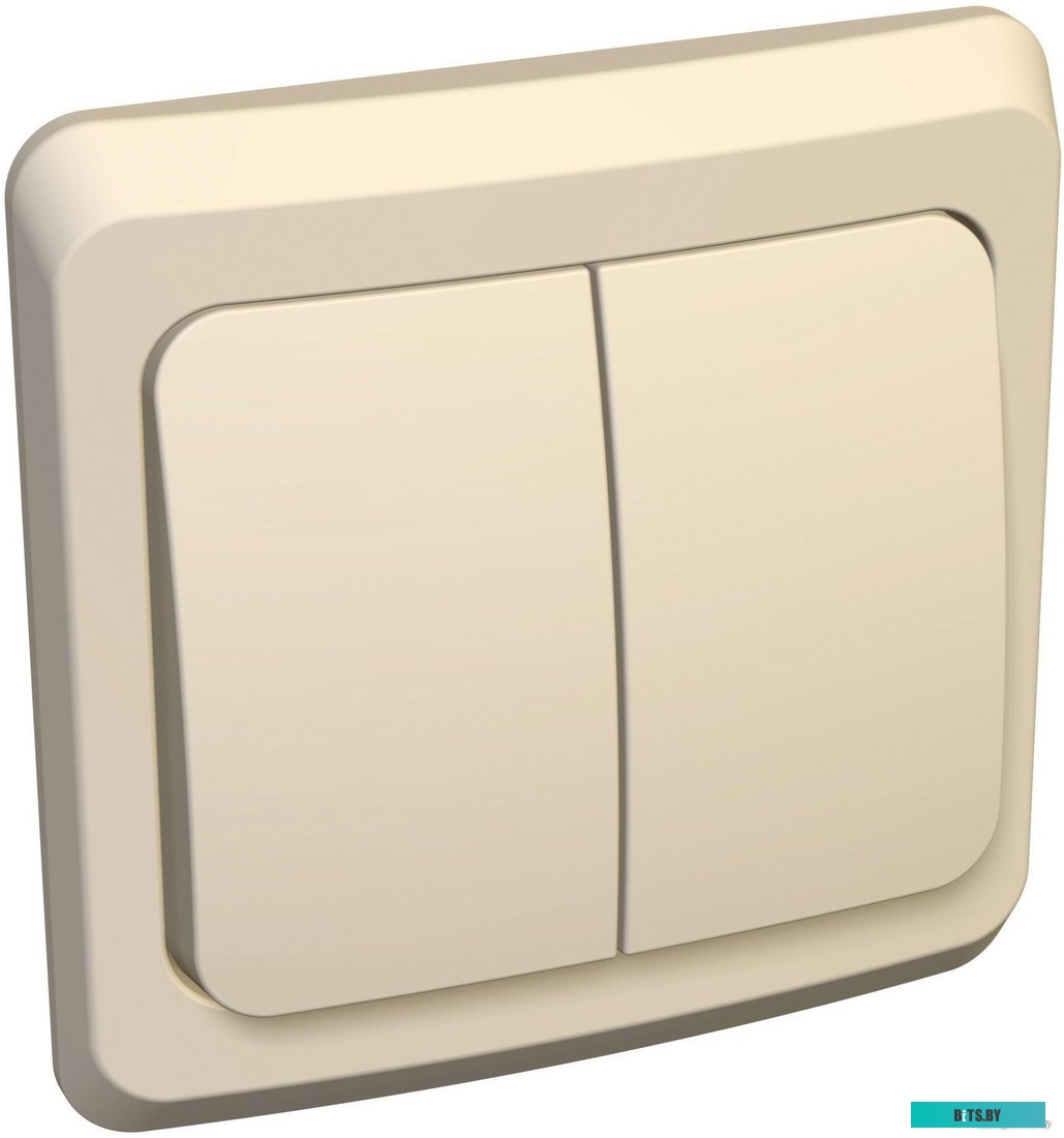 Выключатель Schneider Electric Этюд BC10-002K