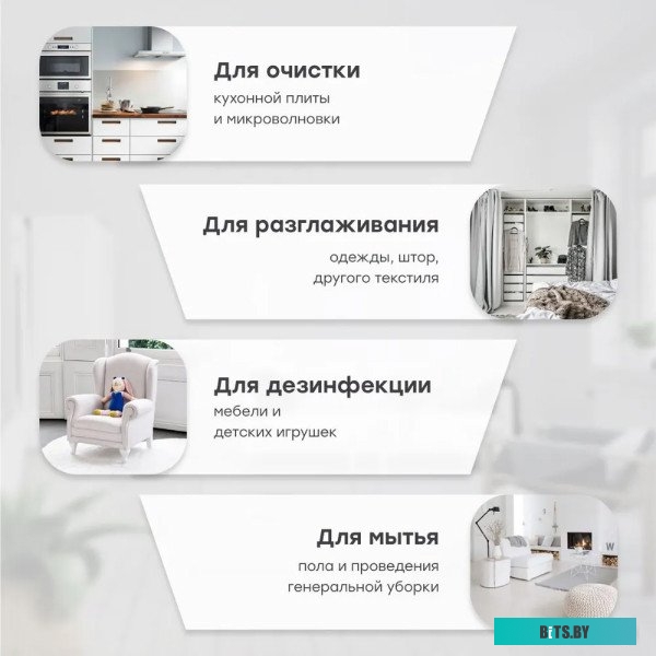 Пароочиститель Bort BDR-2500-RR <91279910>