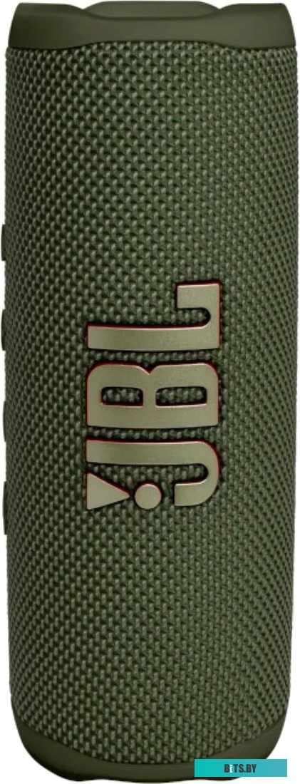Беспроводная колонка JBL Flip 6 (зеленый)