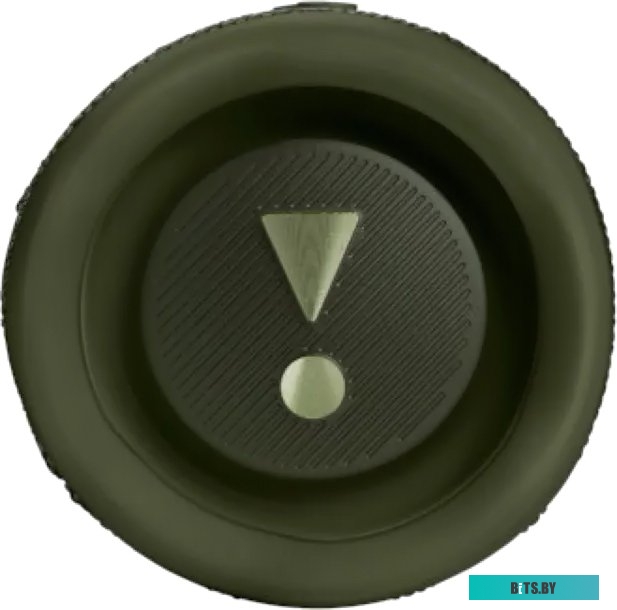 Беспроводная колонка JBL Flip 6 (зеленый)