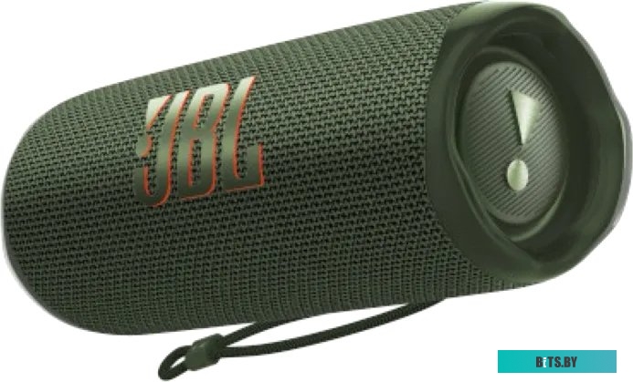 Беспроводная колонка JBL Flip 6 (зеленый)