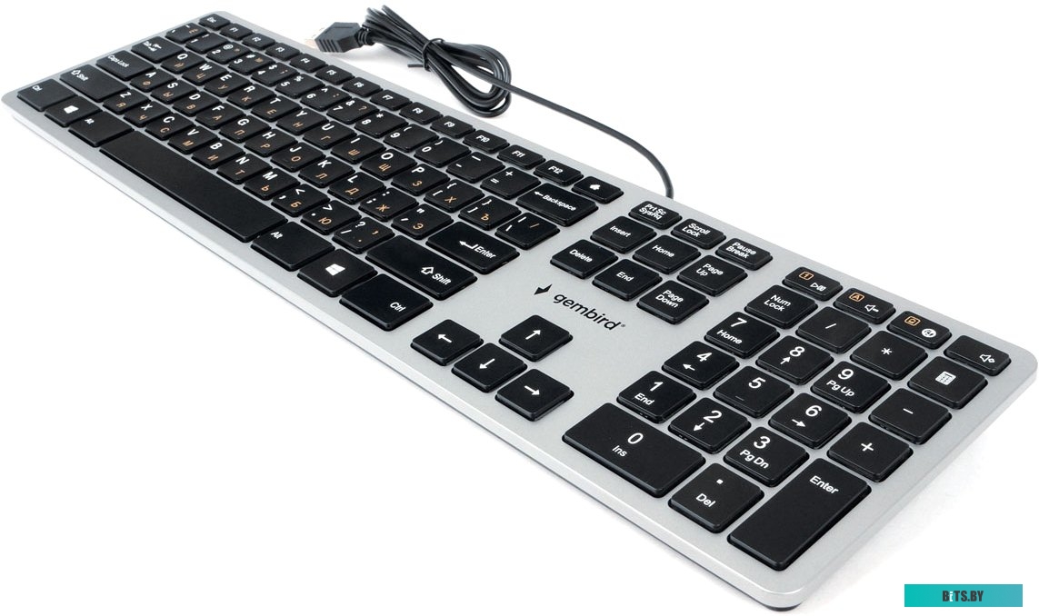 Клавиатура Gembird KB-8420