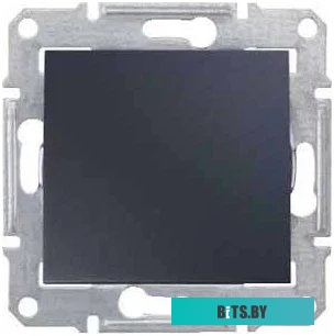 Выключатель Schneider Electric Sedna SDN0100170