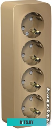 Розетка Schneider Electric Blanca BLNRA011414