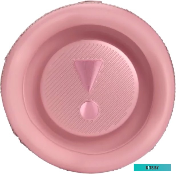 Беспроводная колонка JBL Flip 6 (розовый)