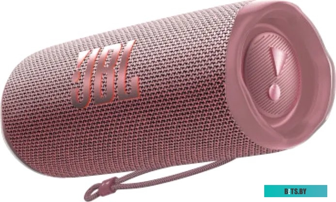 Беспроводная колонка JBL Flip 6 (розовый)