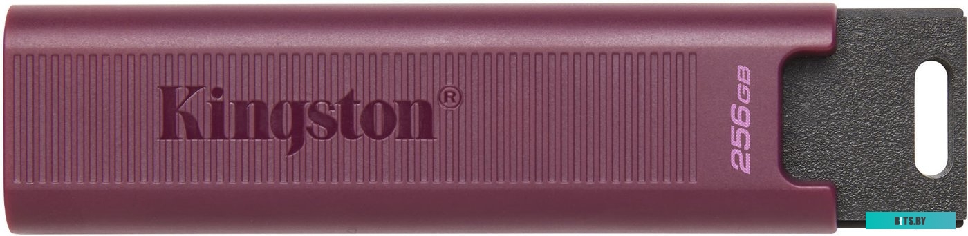 USB накопитель (Флешка) Kingston DataTraveler Max Type-A 256GB <DTMAXA/256GB>