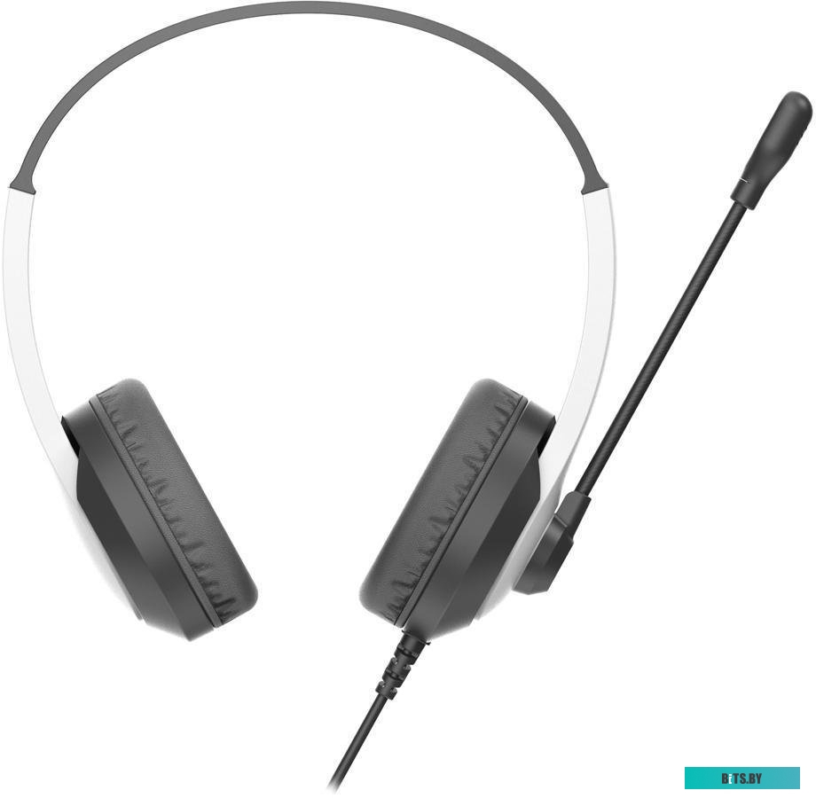 Наушники (Гарнитура) A4Tech Fstyler FH100U (белый/черный)